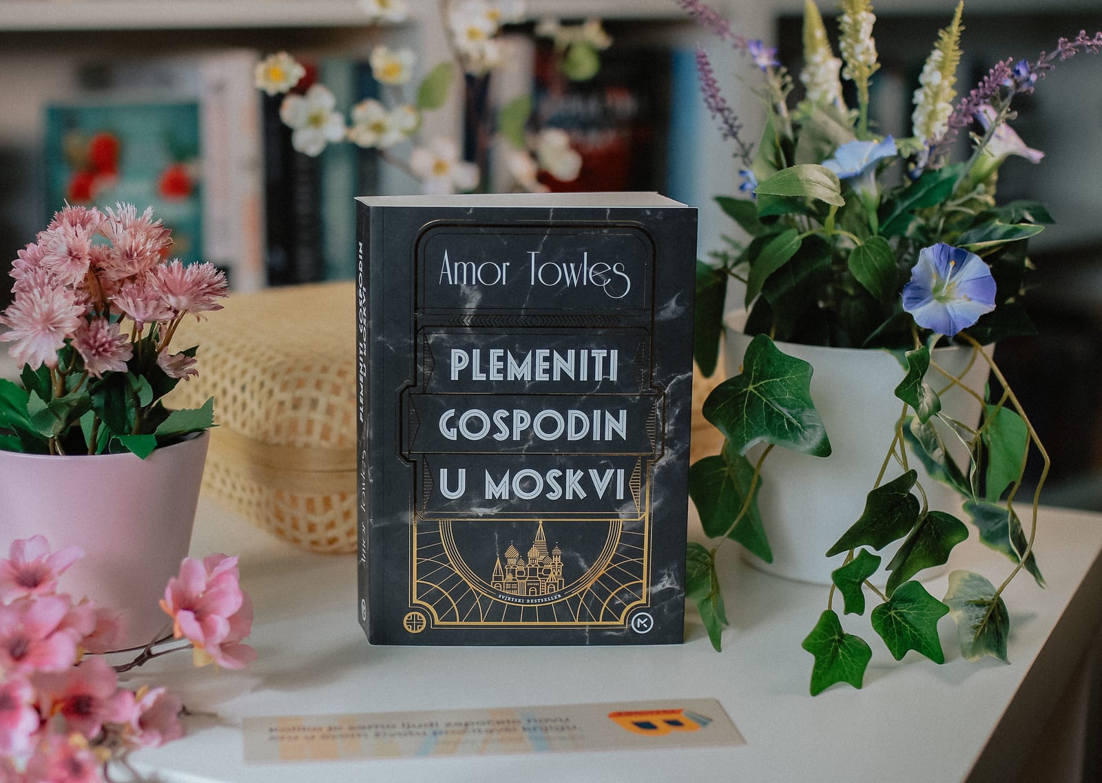 Plemeniti gospodin cover